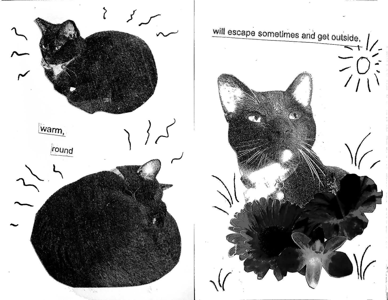 Page 4: Images of Friday curled up to sleep with text 'warm, round' Page 5: Image of Friday with flower stickers and text 'will escape sometimes and get outside'