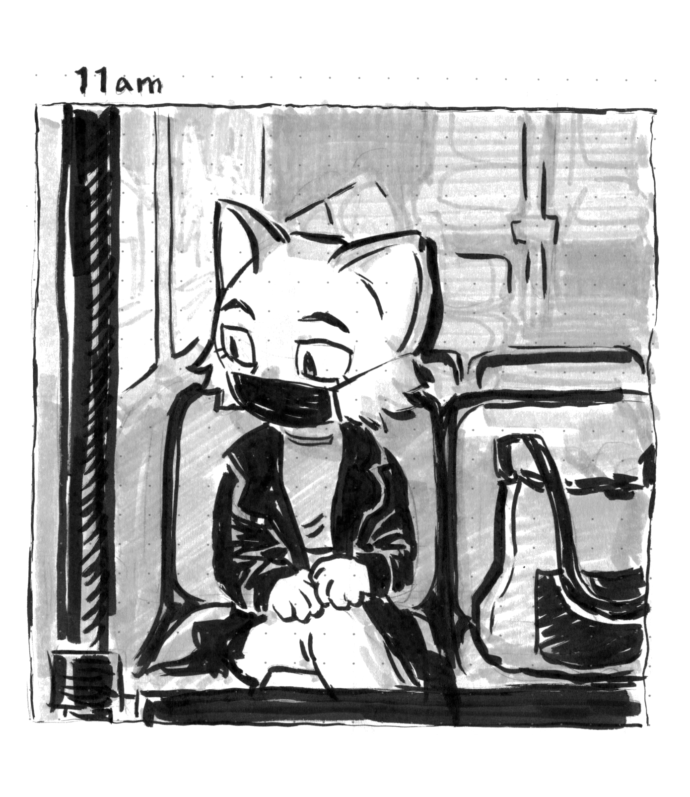 '11am:' The cat looks out the window while riding the bus