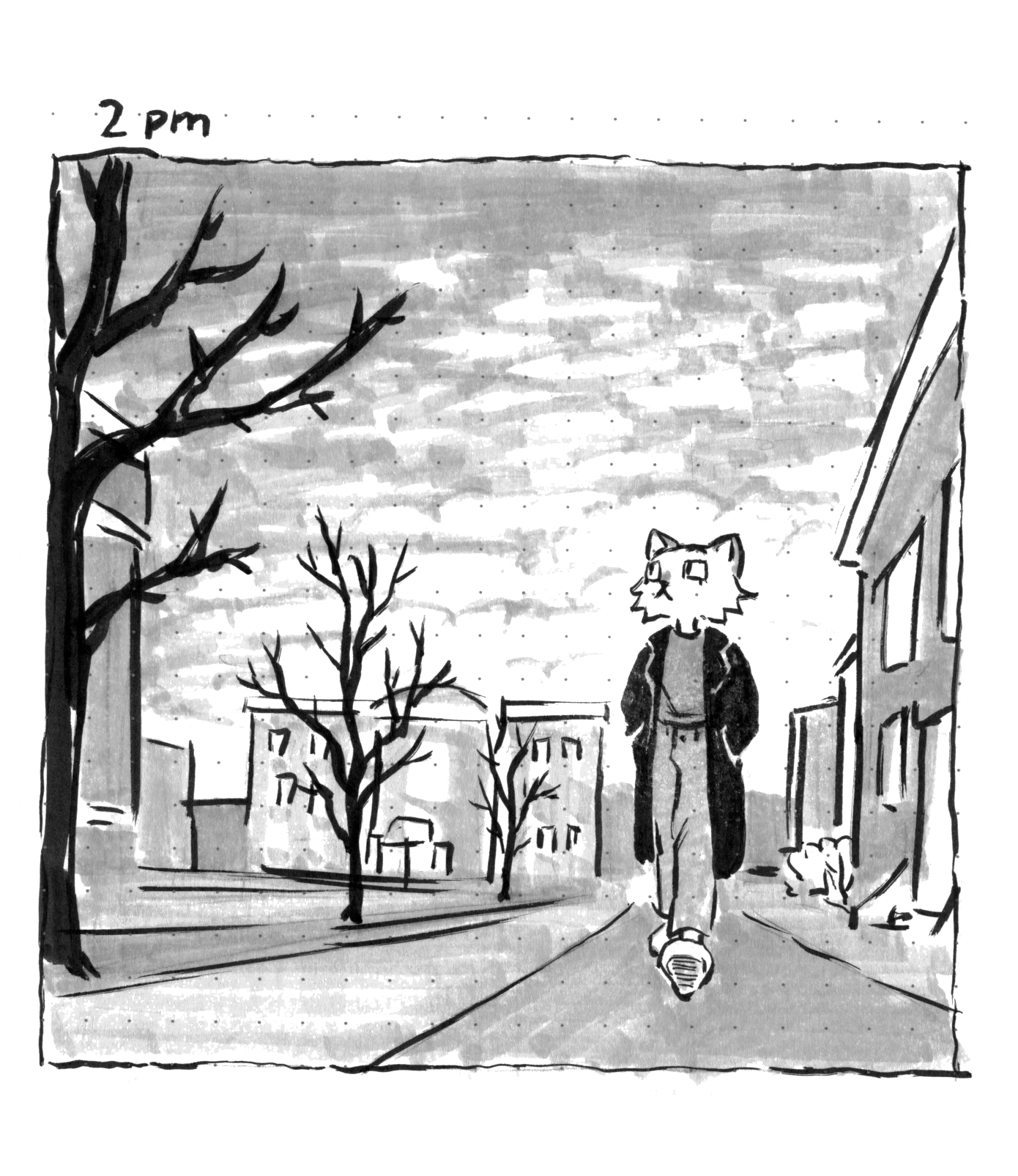 '2pm': The cat walks around campus and looks at the cloudy sky