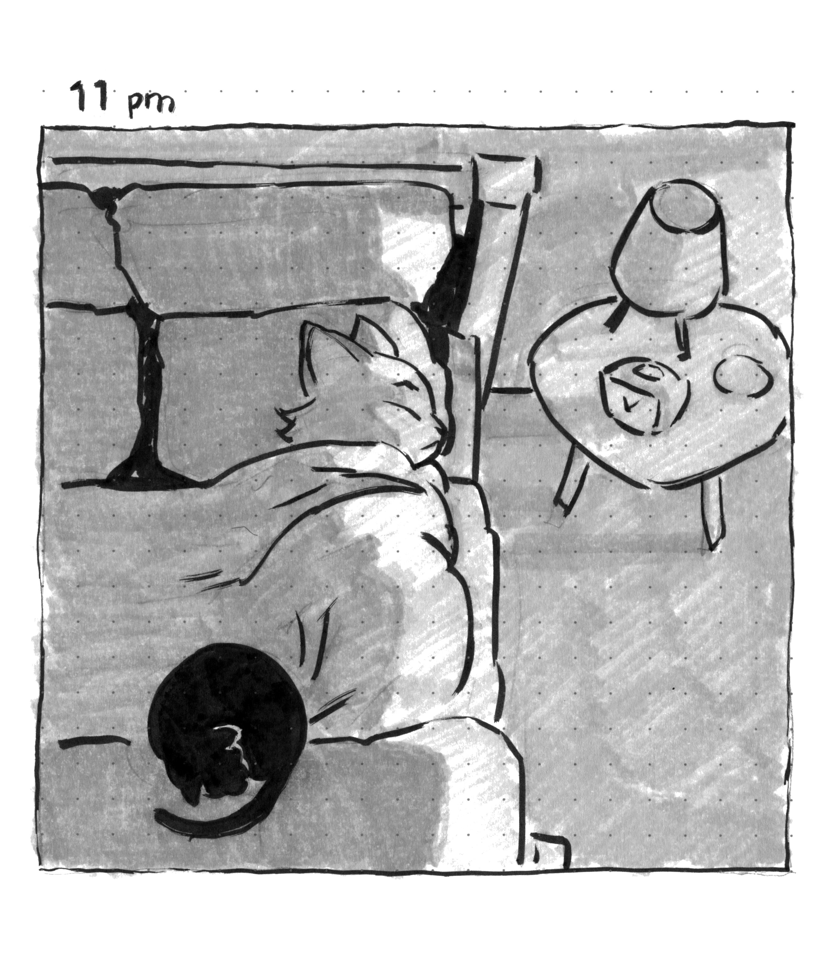 '11pm' In bed with the pet cat curled up on top of the covers.