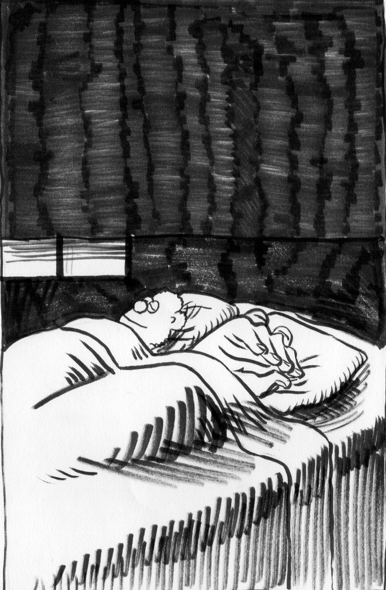 The image fades from black, Kermit and Fozzie are asleep in bed.
